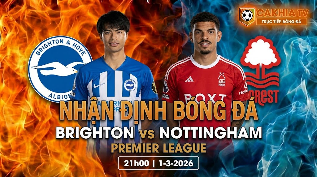 brighton-vs-nottingham